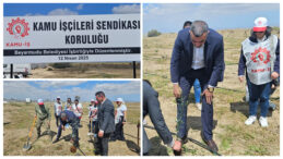 Çayönü köyünde “Kamu İş Koruluğu” oluşturuldu