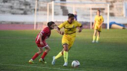 Doğan Türk Birliği finalde