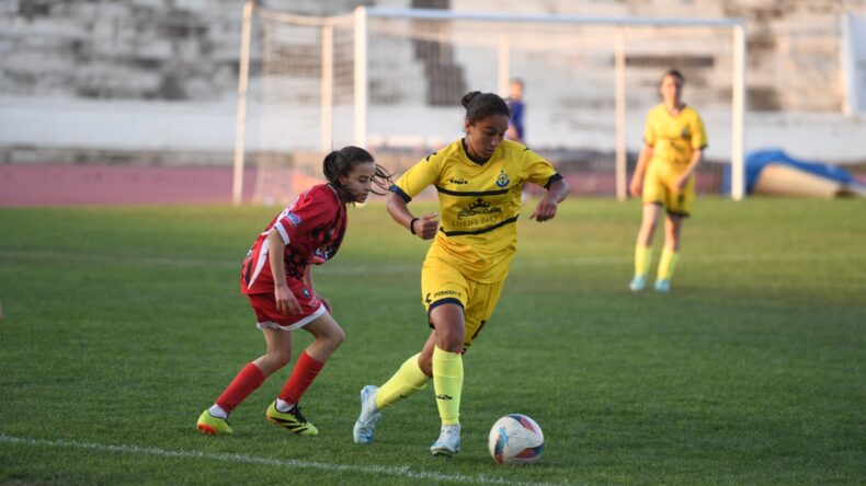 Doğan Türk Birliği finalde