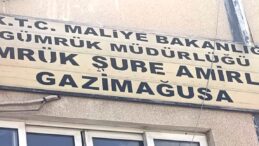 Gazimağusa limanında,tırın içerisinde 17 tonun üzerinde kaçak sebze ve meyve tespit edildi