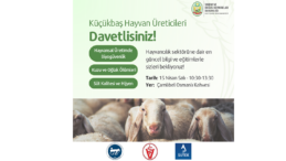 Küçükbaş hayvan üreticilerine yönelik eğitim programı