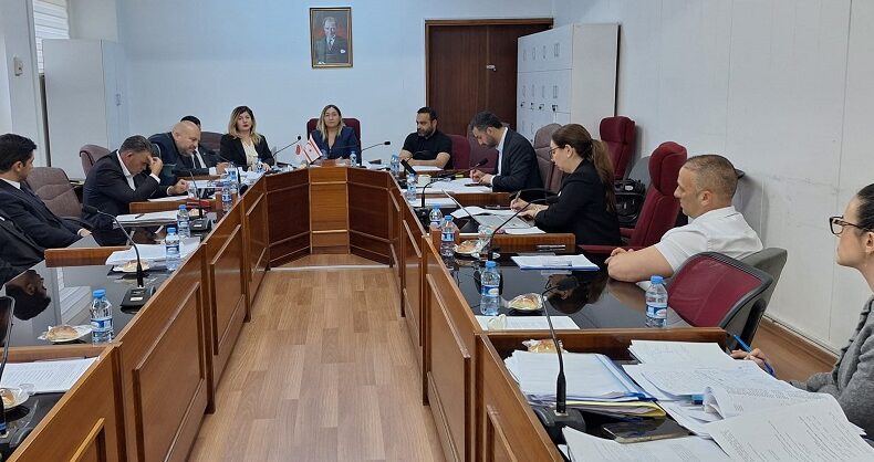 Meclis Komitesinde 1 Yasa Tasarısı, 2 de Yasa Önerisi görüşüldü
