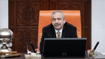 Sırrı Süreyya Önder, kalp rahatsızlığı nedeniyle ameliyata alındı