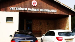 Veteriner Dairesi’nden hayvan kesimi ile ilgili uyarı