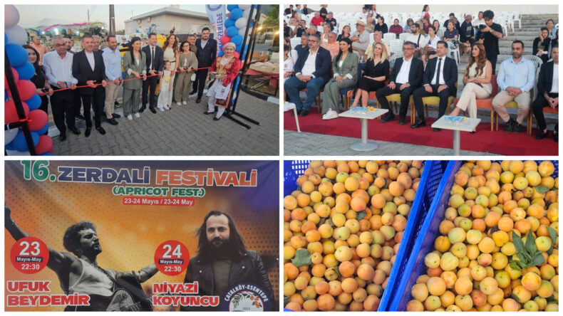 16. Zerdali Festivali başladı