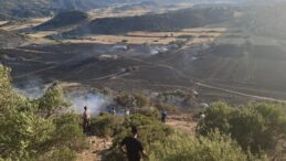 Avtepe-Kuruova arasındaki yangında  400 dönüm arazi zarar gördü