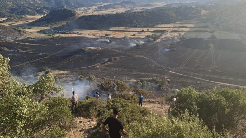 Avtepe-Kuruova arasındaki yangında 400 dönüm arazi zarar gördü