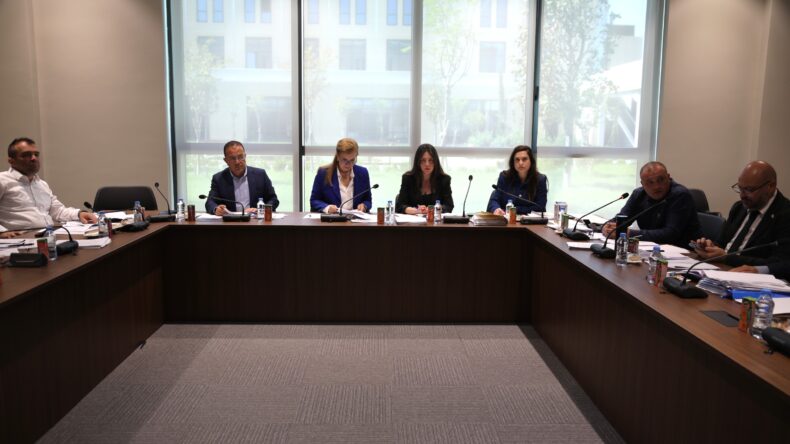 Ekonomi, Maliye, Bütçe ve Plan Komitesi bugün sigorta yasa tasarılarını görüştü