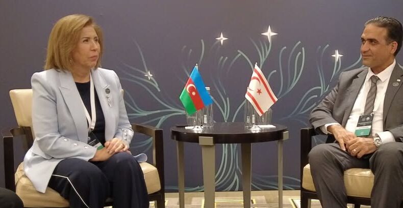 Gardiyanoğlu: Projelerimizin Azerbaycan’da hayat bulması bizi motive ediyor