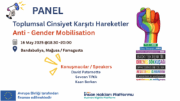 İnsan Hakları Platformu, “Toplumsal Cinsiyet Karşıtı Hareketler” paneli düzenliyor