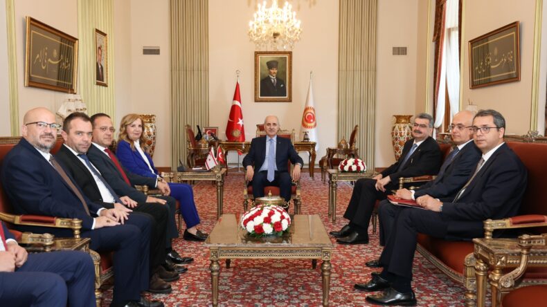 Meclis Komite Heyeti TBMM Baṣkanı Kurtulmuṣ tarafından kabul edildi