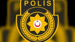 TIR içinde KKTC’ye sokulmaya çalışılan 21 güvercine el konuldu