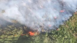 Antalya’da iki bölgede orman yangını: Havadan ve karadan müdahale ediyor