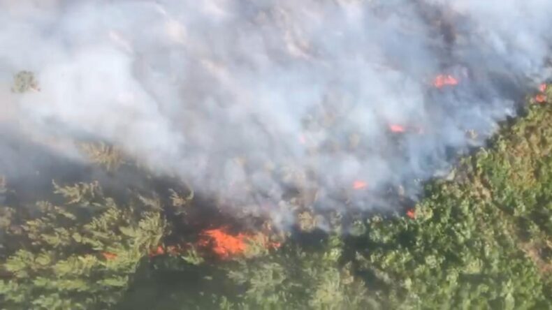 Antalya’da iki bölgede orman yangını: Havadan ve karadan müdahale ediyor