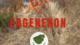 Ergenekon köyünde yangın…