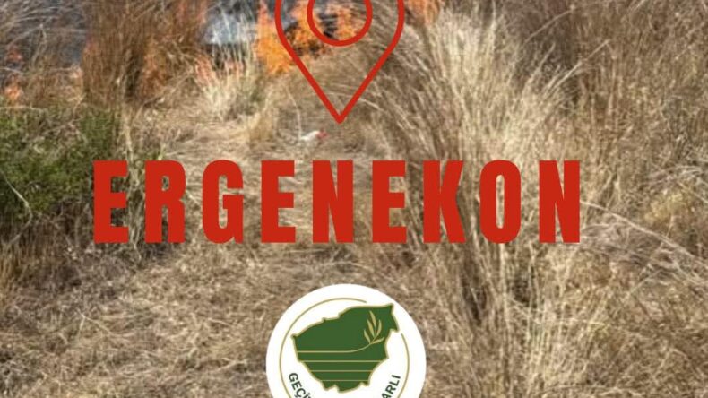 Ergenekon köyünde yangın…