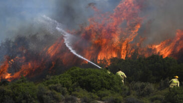 Foça’da orman yangını: Çok sayıda ev tahliye edildi