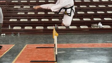 General Choi Hong Hi Zor Hareketler Kupası