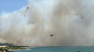 İzmir’de çıkan orman yangınına müdahale ediliyor