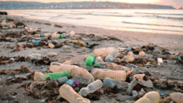 Kimya Mühendisleri Odası: “Plastik kirliliği geleceğin en önemli sorunlarından biri”