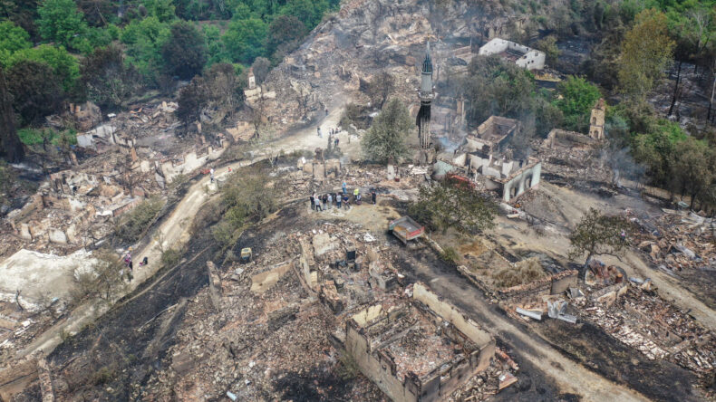 Sakarya ile Bilecik sınırındaki Köprücek köyü, yangında büyük zarar gördü
