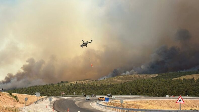 Türkiye’de iki günde 68 orman yangını çıktı