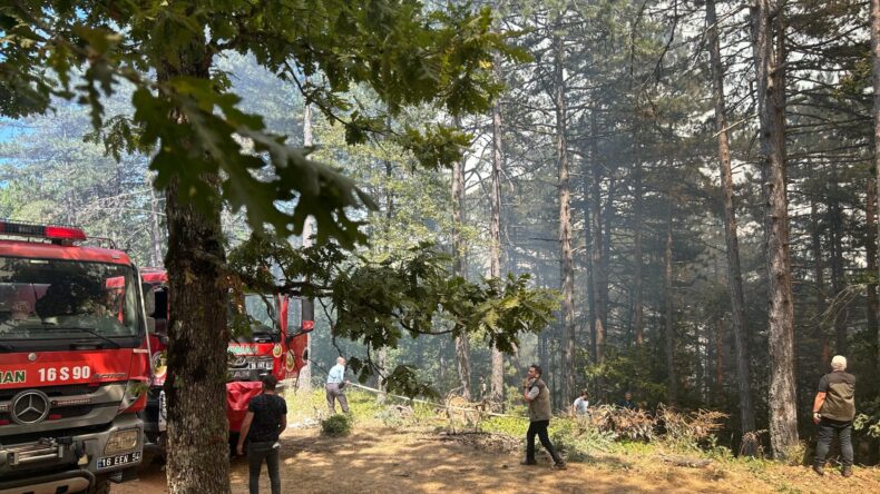 Bursa’nın 2 ilçesinde çıkan orman yangınına müdahale ediliyor