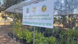 Gazimağusa’da fidanlık satış yeri hizmete girdi