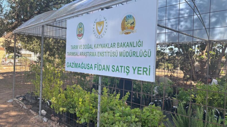 Gazimağusa’da fidanlık satış yeri hizmete girdi