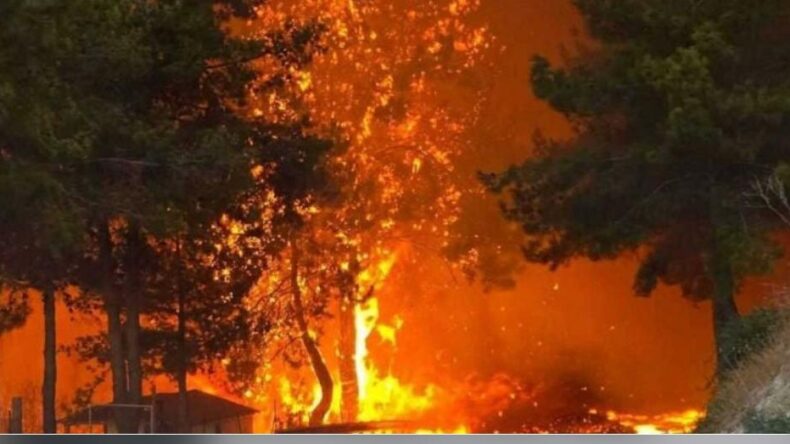 Limasol bölgesinde 11 köy boşaltıldı… 1 kişi yaralandı