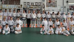 Sinan Erdem Taekwondo-Karate-Budo Şampiyonası
