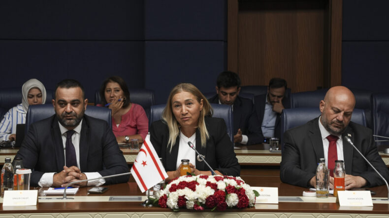 TBMM Güvenlik ve İstihbarat Komisyonu Başkanı Tipioğlu, Cumhuriyet Meclisi heyetiyle görüştü
