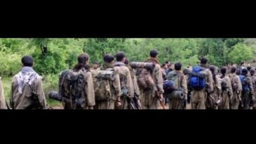 Terör örgütü PKK silahlarını imha etti