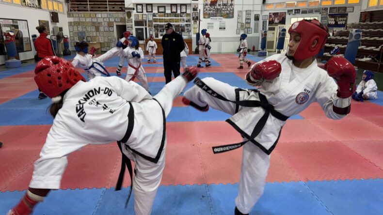 Erdem Orel Taekwondo-Karate-Budo Şampiyonası yapıldı