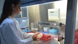 Kuzey Kıbrıs’tan dünya literatürüne: Yeni virüs türü Alasiavirus keşfedildi!