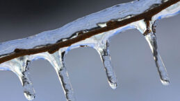 Bugün ve yarın don bekleniyor