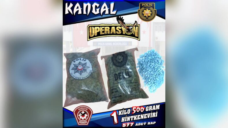 Narkotik’ten zehir tacirlerine “Kangal Operasyonu”