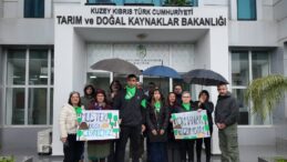 Patika Doğa Sporları Derneği: Ormanlarda ücret uygulaması Anayasa’ya aykırı