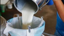 Süt bedelleri ödendi