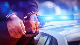 Tır dorsesinde kaçak giriş: 5 tutuklu