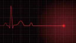 Akoya ve Can’ın ölüm sebebi belli oldu