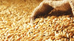 Arpa sevkiyatı olumsuz hava koşulları nedeniyle tamamlanamadı