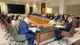 Cumhurbaşkanı Erhürman, Türk Dünyası Arabulucular Birliği’ni kabul etti