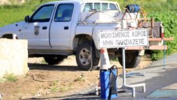 Güney Kıbrıs’ta şap hastalığı için koordinasyon merkezi oluşturuldu