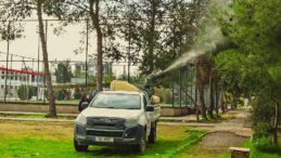 LTB’den çam kese böceği karşı etkili ve çevre dostu mücadele