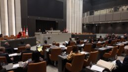 Meclis denetim göreviyle toplanacak