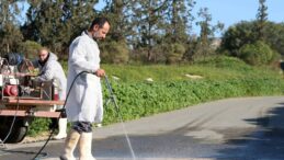 Güney Kıbrıs’ta şap görülen çiftlik sayısı 22’ye yükseldi